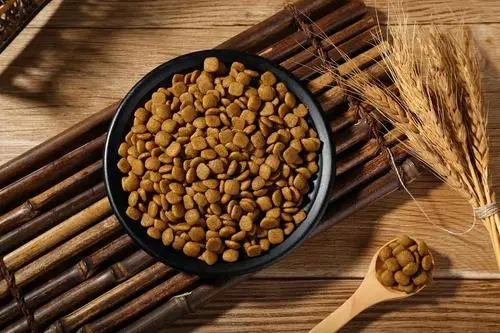 养狗指南｜5款性价比狗粮推荐