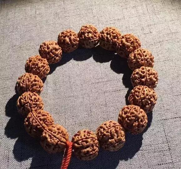 金刚贵贱区别,金刚菩提多久能红