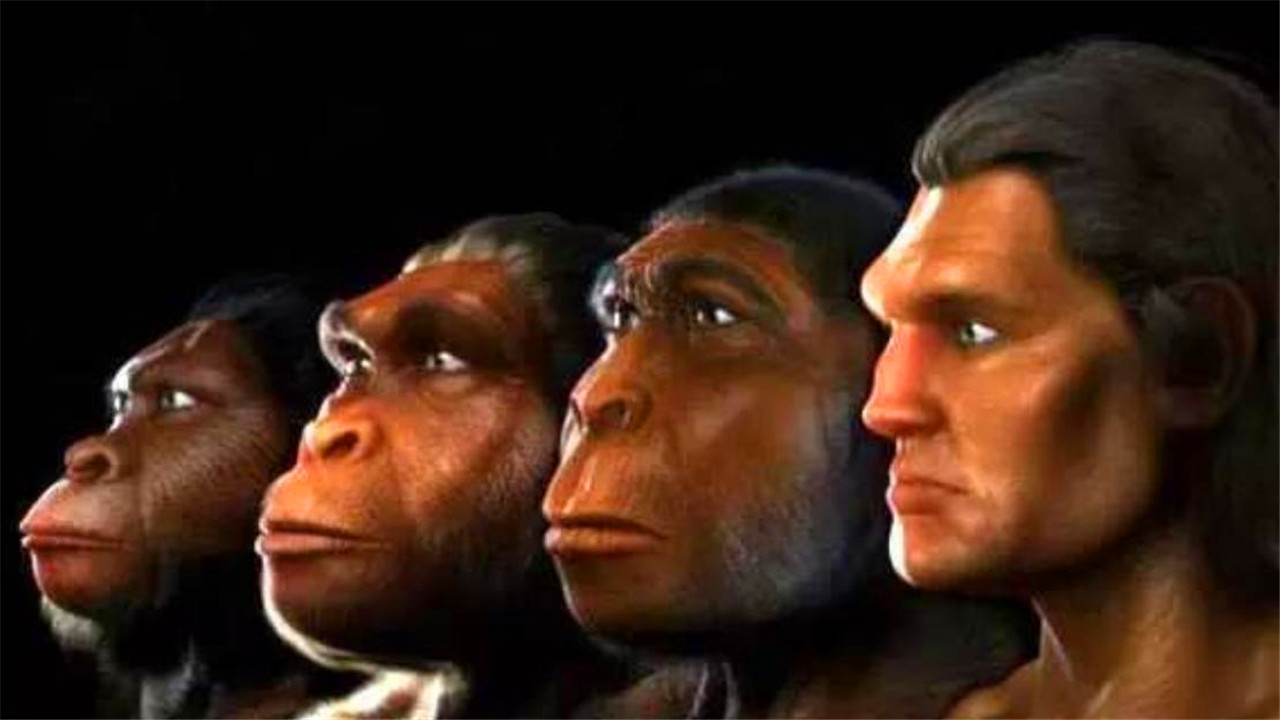 同人类祖先同时进化的人,人类进化了这么久为何还自相残杀