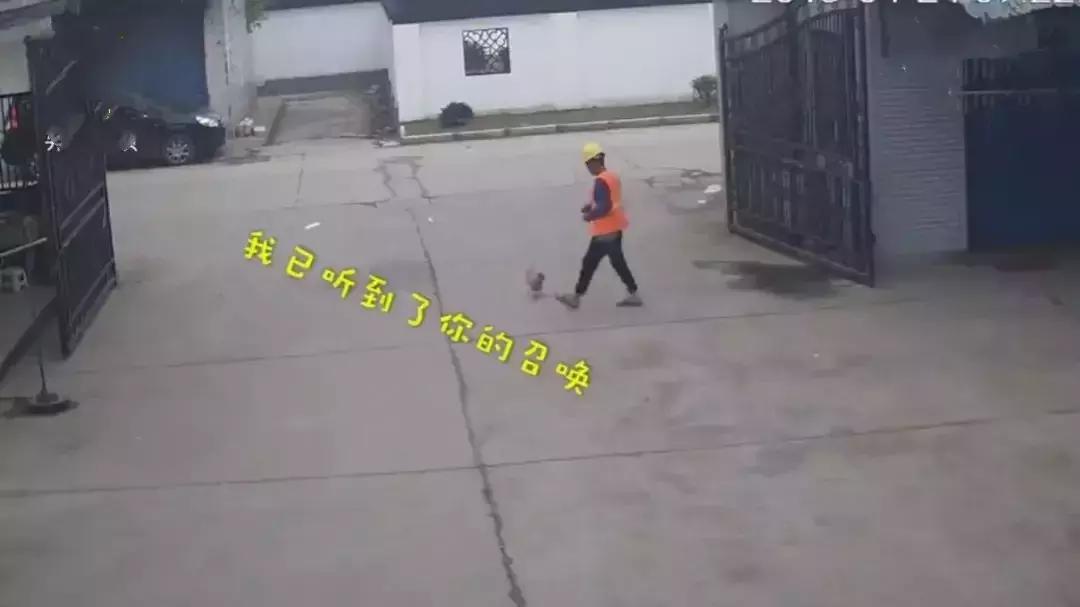 #净网2019#【小苏来吐槽】男子偷鸡是受到“召唤”，嫌疑人网吧被抓：这局打完！