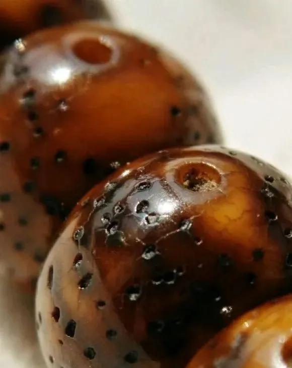 星月菩提阴皮是什么意思,星月菩提的阴皮怎么形成的