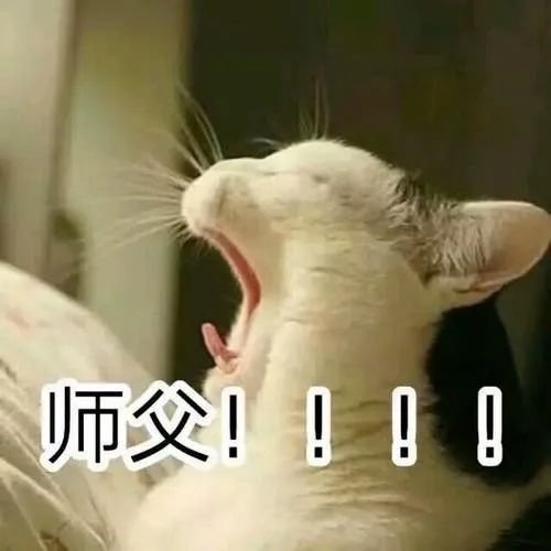 街舞王晨艺创造营2019,街舞少年团传承王晨艺