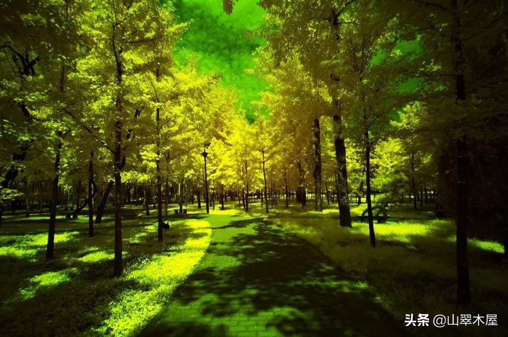 洛阳市欧亚国际学院,洛阳欧亚国际学校靠谱吗