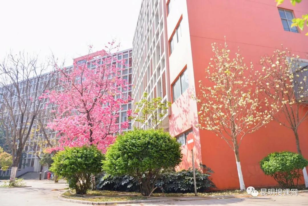 昆明第十中学白塔校区初一,昆明中学实力排名前十名