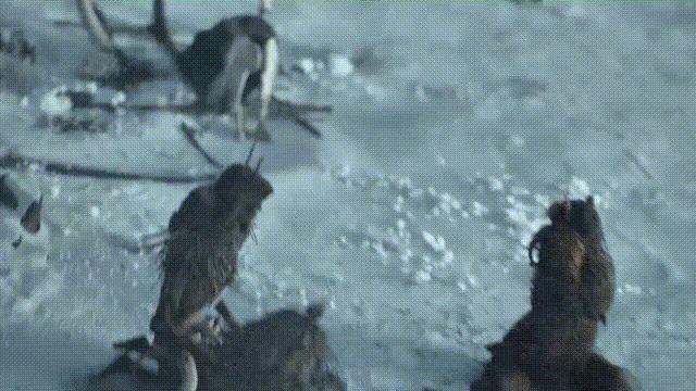 阿努纳奇创造人类7次文明,阿努纳奇人类起源