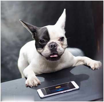 王者荣耀为什么打排位队友这么坑,玩王者荣耀怎么不排位坑队友