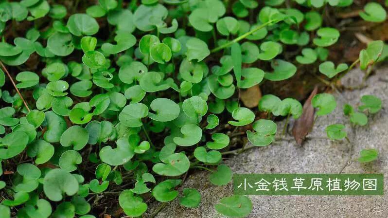 腰酸警惕十种原因肾上有炎症,警惕腰疼背后的大问题