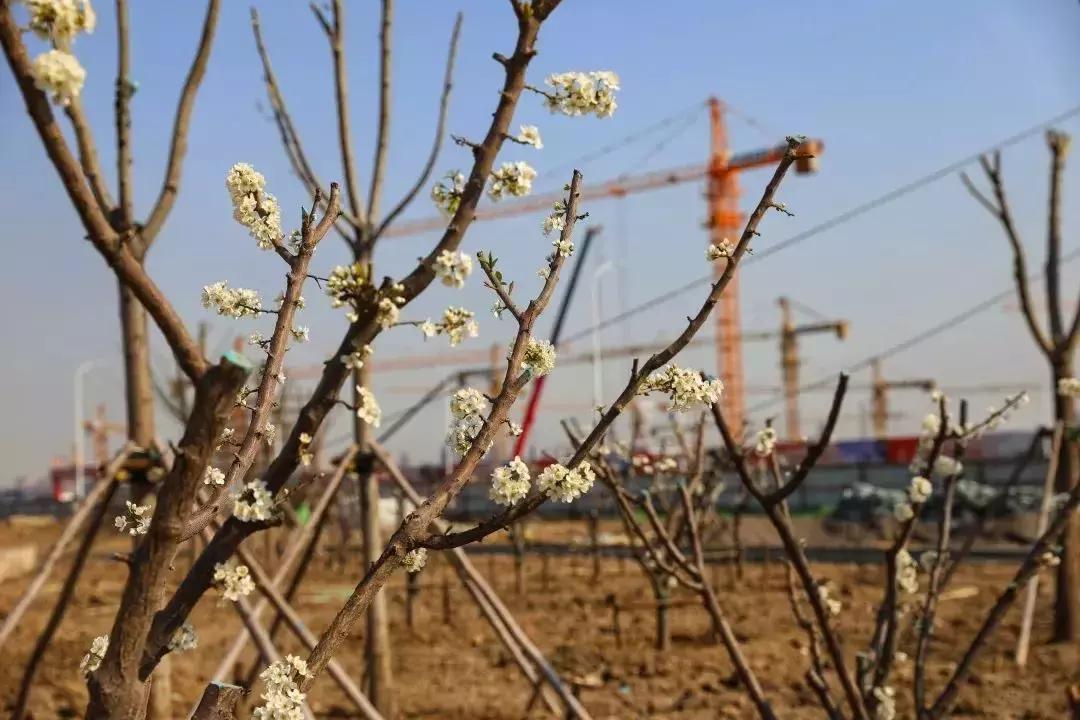 天津津南区葛沽公园,天津津南区葛沽镇体育公园