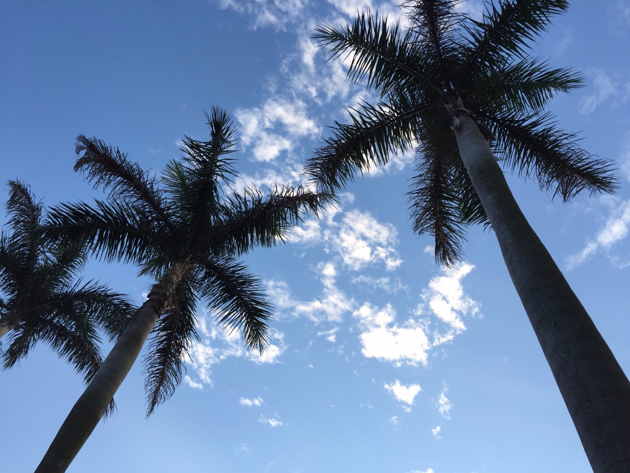 广西哪些城市有非法集资案件,2014年广西北海市非法集资案