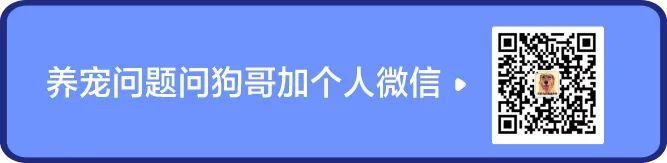 猫狗零食冻干鸡肉,送检猫狗零食