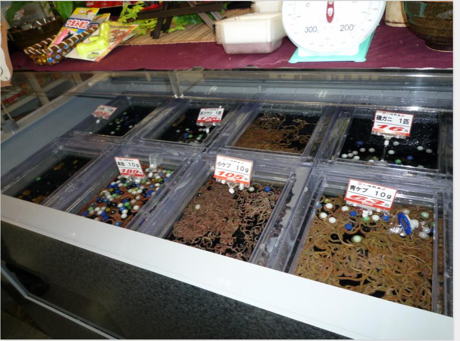 日本渔具店铺,日本钓具店装备推荐