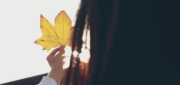 秋日魔都,秋日的上海街头