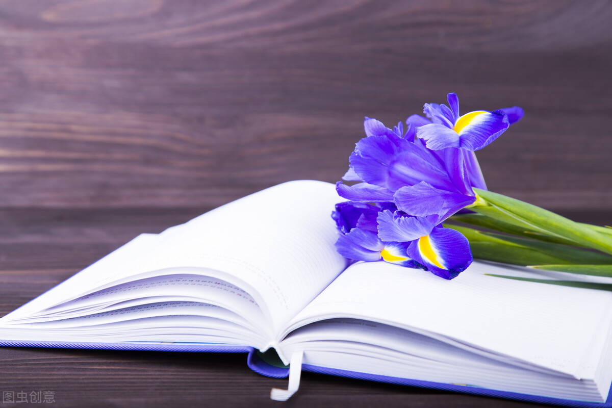 仁爱版英语七年级下册unit8知识点,七年级下册仁爱版英语8单元3话题