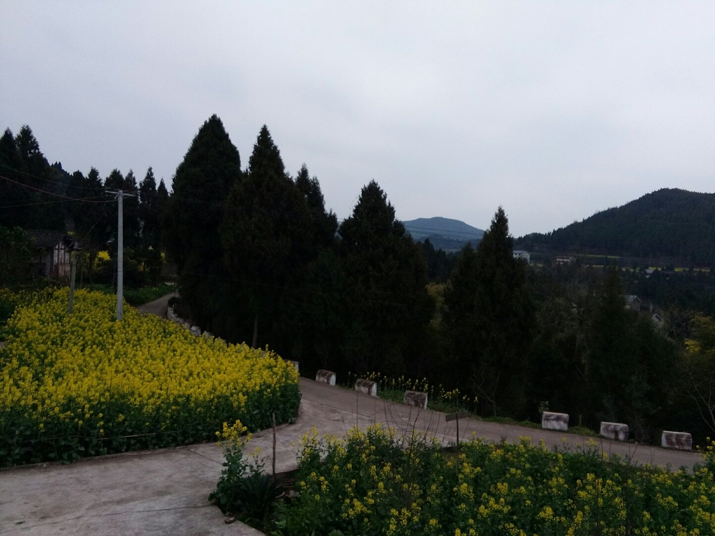 家乡的稀饭,家乡的粥一直都是熟悉的味道