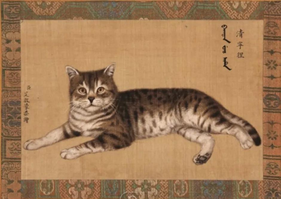 古代猫名字,古代猫的名字
