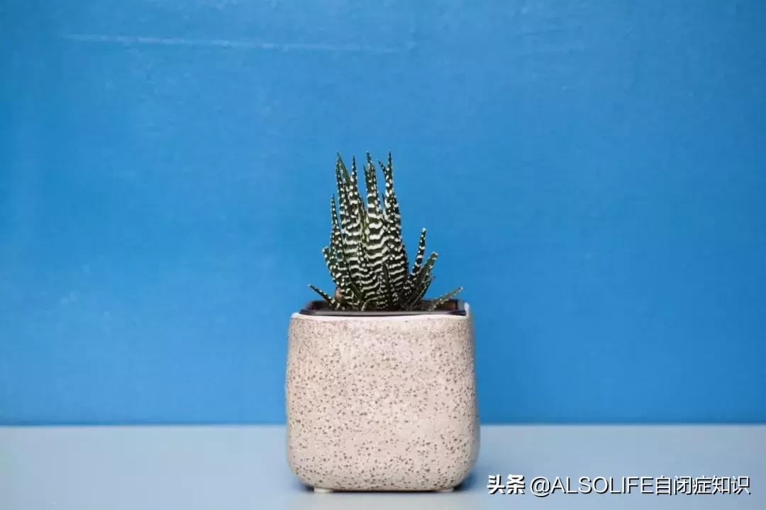 李喜禾得了自闭症,喜禾自闭症孩子