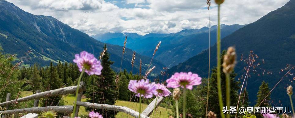 奥地利抗疫表现,奥地利感染新冠