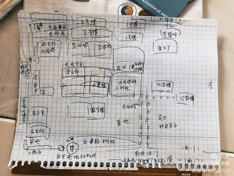 山大的故事,山大学院里树木故事