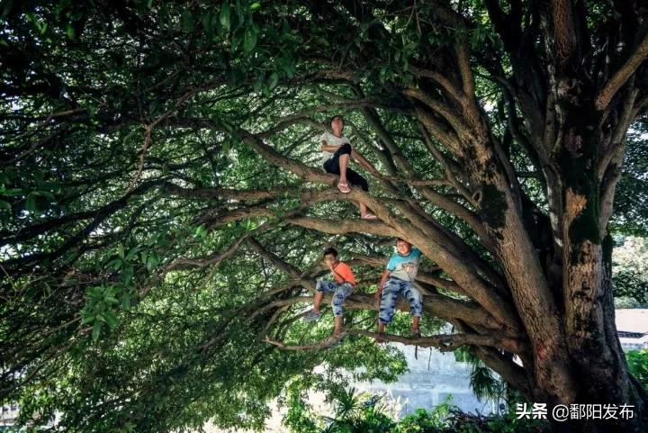 遇见美丽水乡,鄱阳鄱阳湖