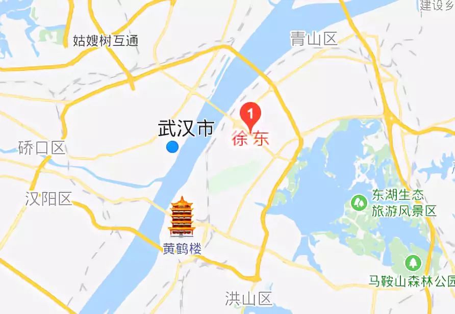 武汉徐东掉钱的巷子,武汉徐东大街小巷子现状