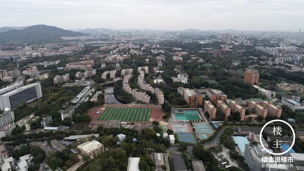 五山：书香之地一片乐土