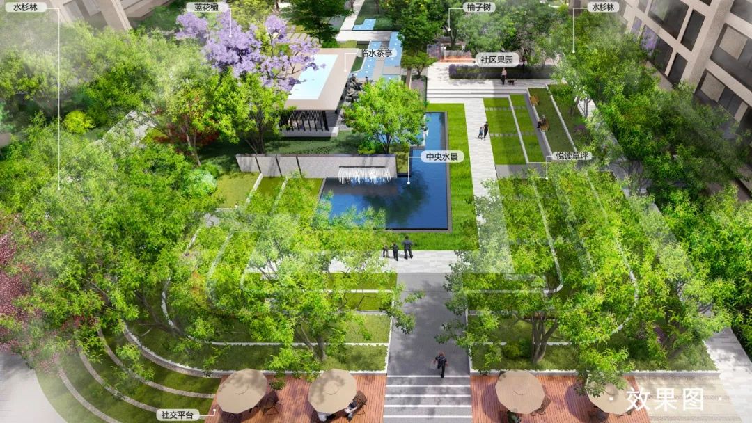 最新消息成华区,最新成华区消息