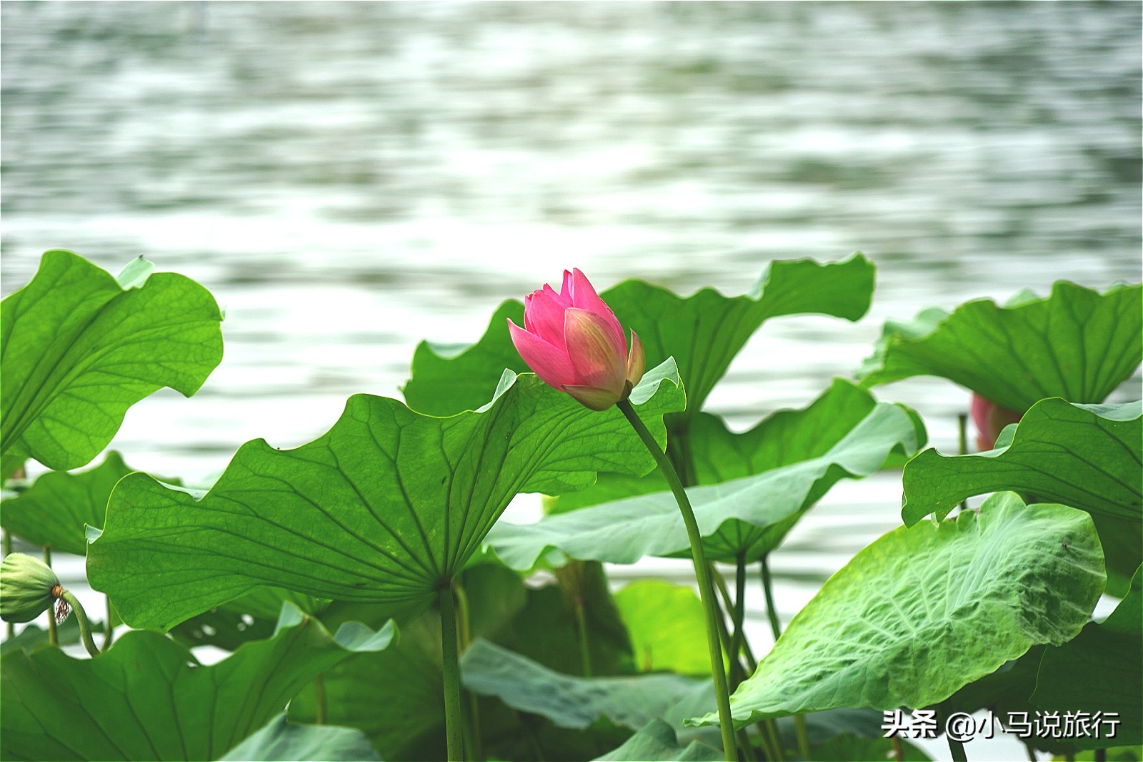 十八线小县城旅游推荐,我国最低调的城市