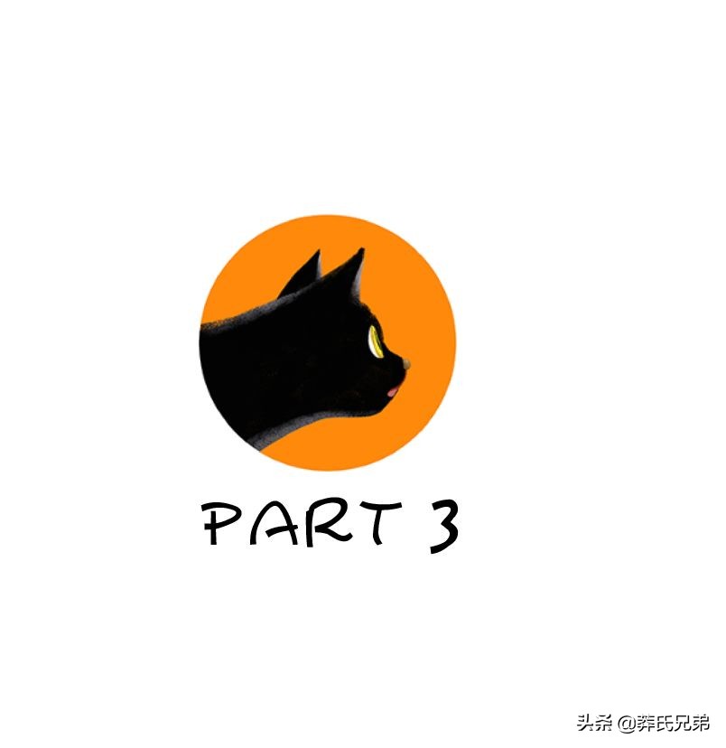 宠物秀场最新动态,亚宠展宠物时装秀人气火爆现场