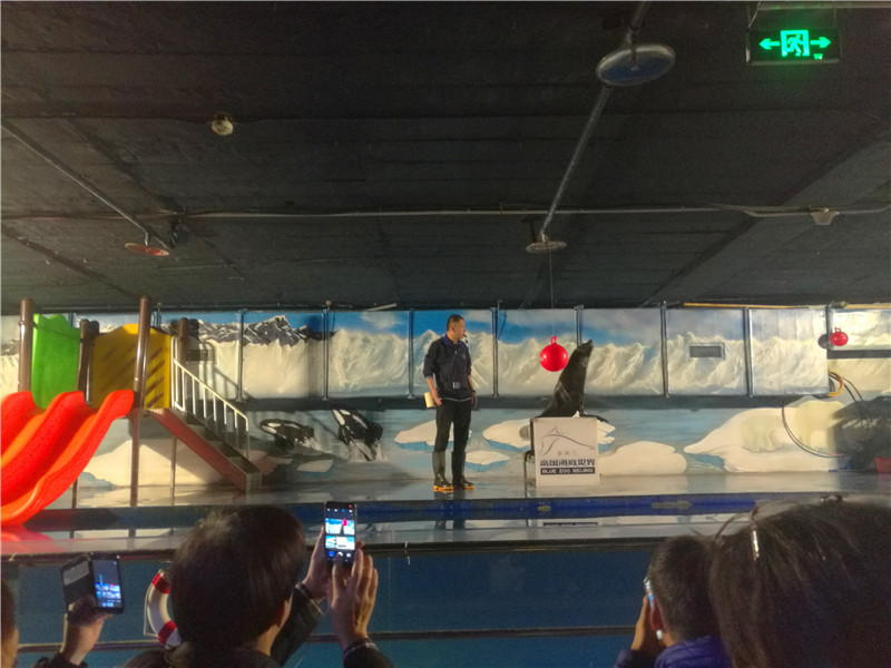 富国海底世界京津冀,游富国海底世界