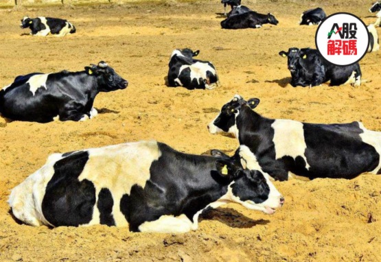 最新假奶粉事件,近日假奶粉事件