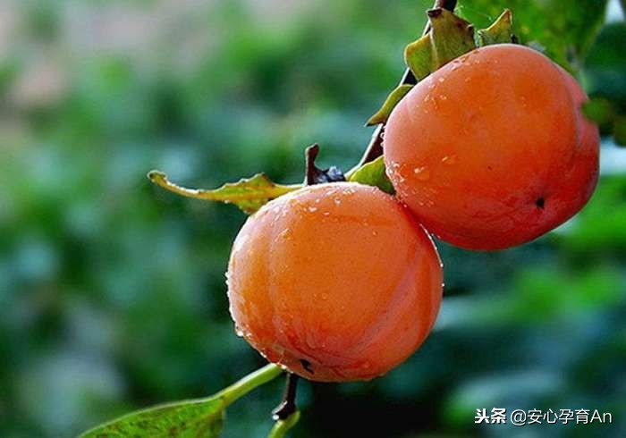 这7种水果准妈妈一定不能多吃,这七种食物准妈妈别吃