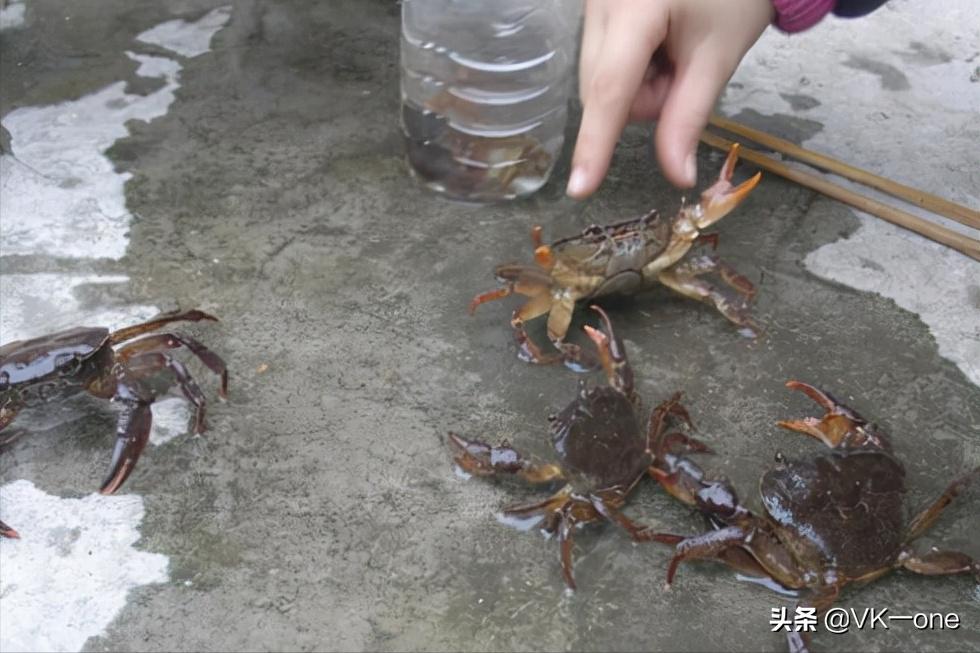 农村80后才看得懂的图和知道的经历