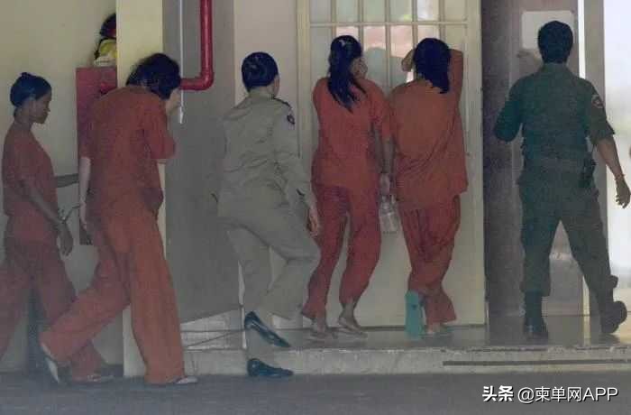 女明星国外代孕事件,女星被曝海外代孕生子