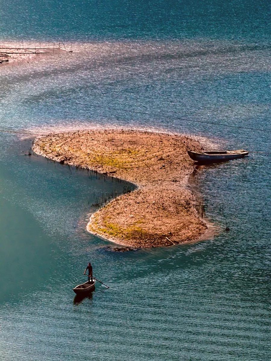 秘境蜘蛛恐惧症任务,破碎之地秘境剧毒蜘蛛怎么打