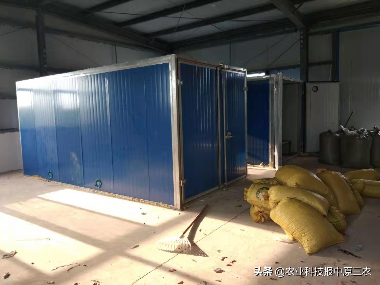 花椒怎么才能丰产,花椒丰收价格最新