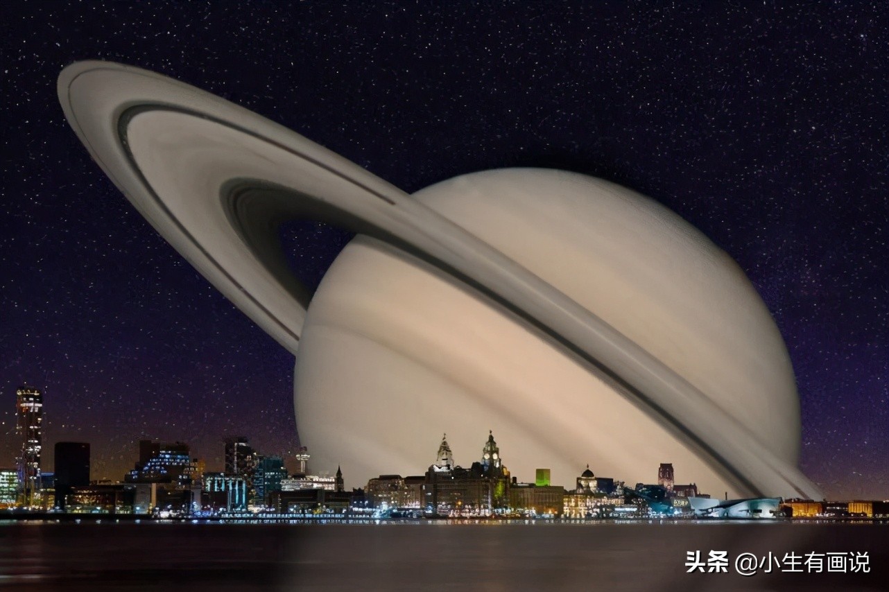 15张展示“巨物”的照片：只要活得足够久，一切都见怪不怪