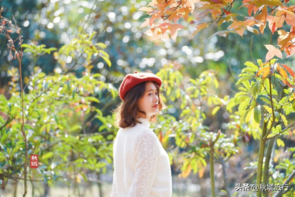 常熟网红美食盛宴,常熟网红枫林菜谱