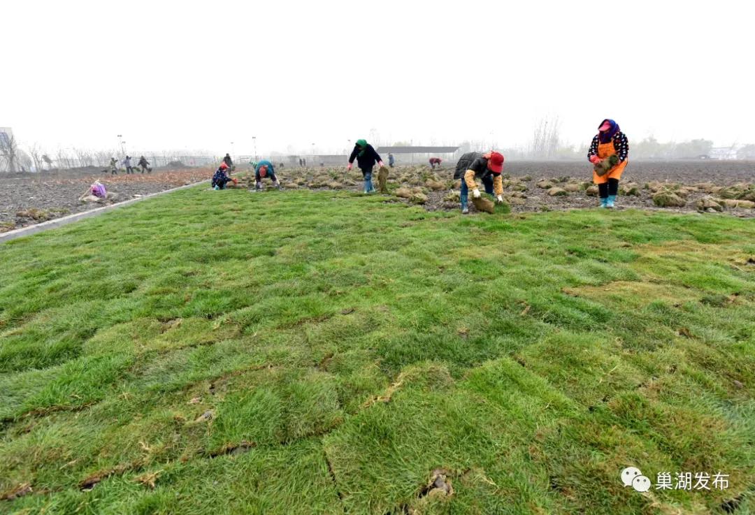 最好的人工草坪足球场,人工草坪足球场建设全过程