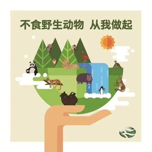 哪些野生动物不能吃?野生动物名录了解一下