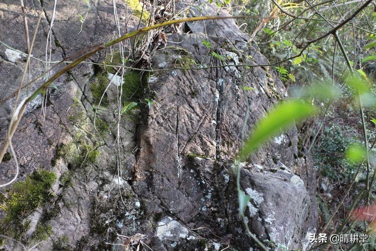 赣州峰山附近一日游自驾游景点,赣州峰山美景