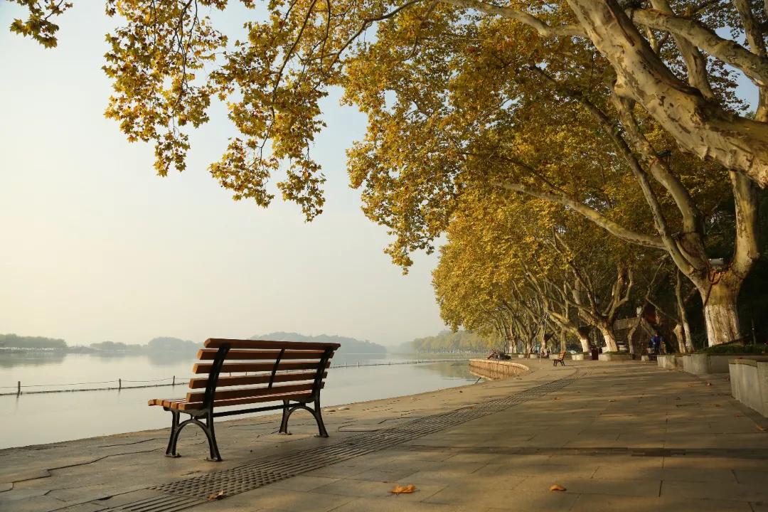 新一波冷空气在路上！何时降温？明早天气有变化，开车到这些路段千万注意！“金秋”原来不仅指颜色...