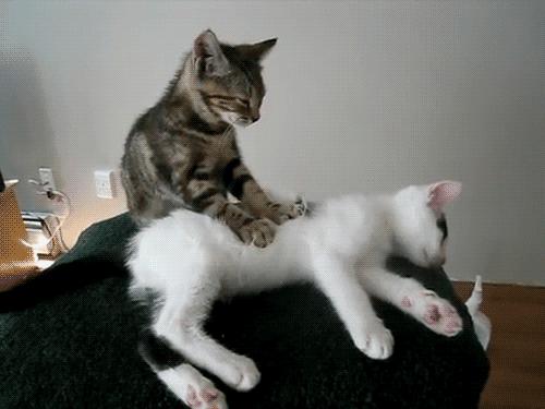 中医是一门什么科学,最全面的中医专业