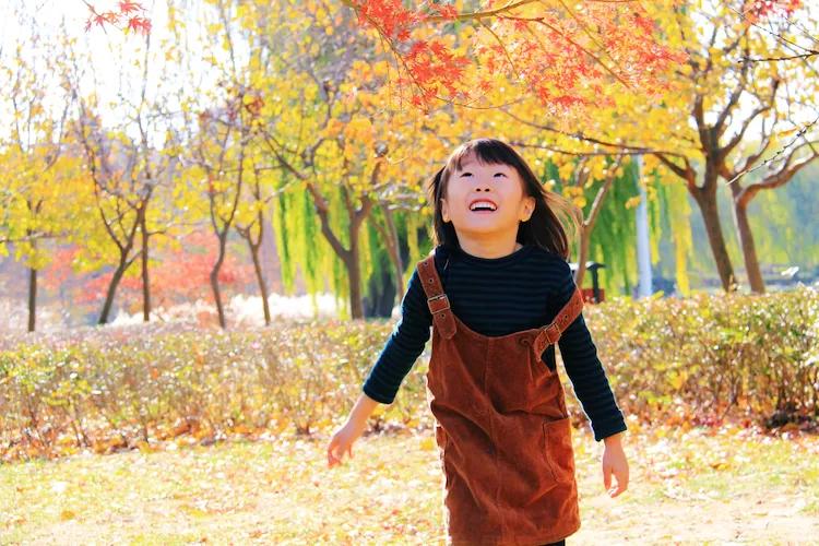 单反快速入门索尼,单反自动挡是哪个