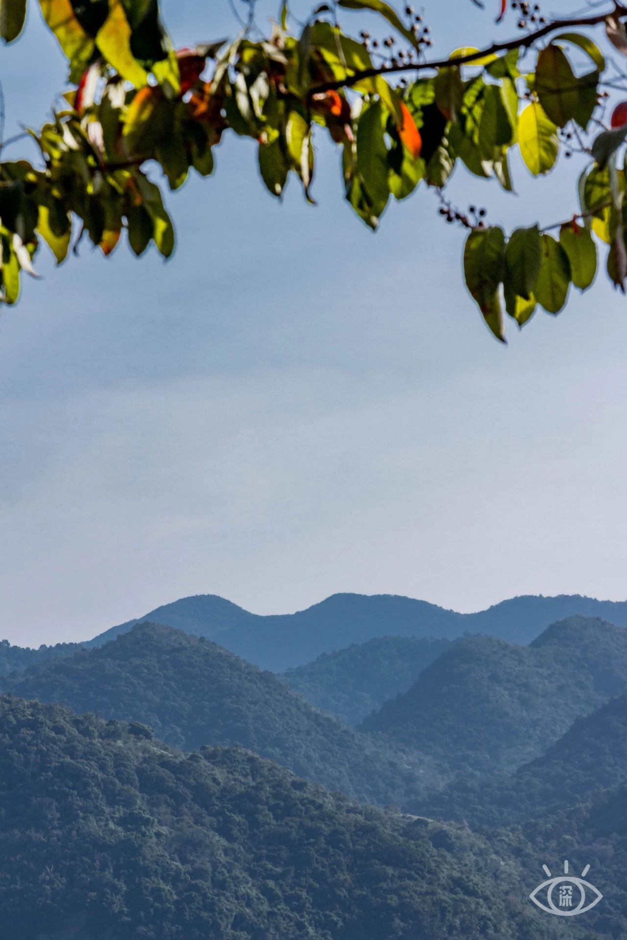 深圳绝美小岛景点介绍,深圳有哪些绝美的海景