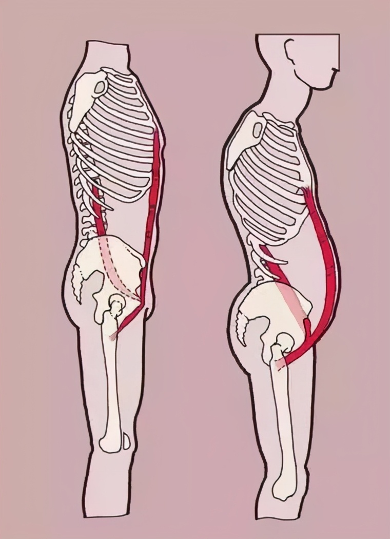 腰腹快速恢复力量,10分钟腰腹运动紧实腰侧曲线