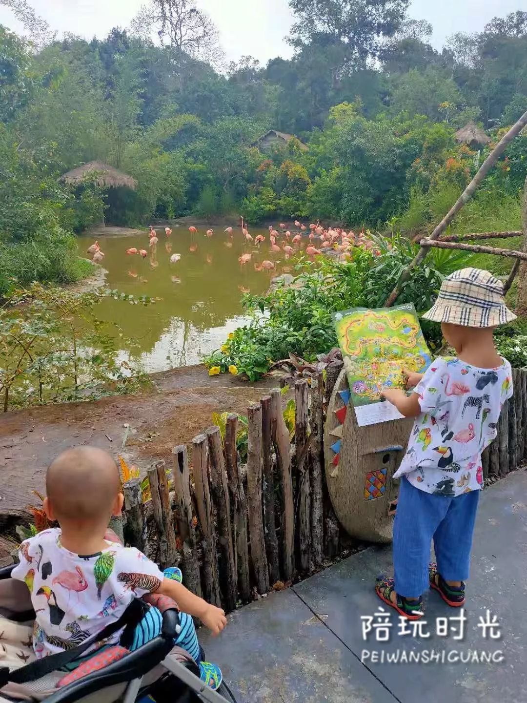 适合亲子游的海边酒店推荐,适合带娃的高端亲子海岛酒店