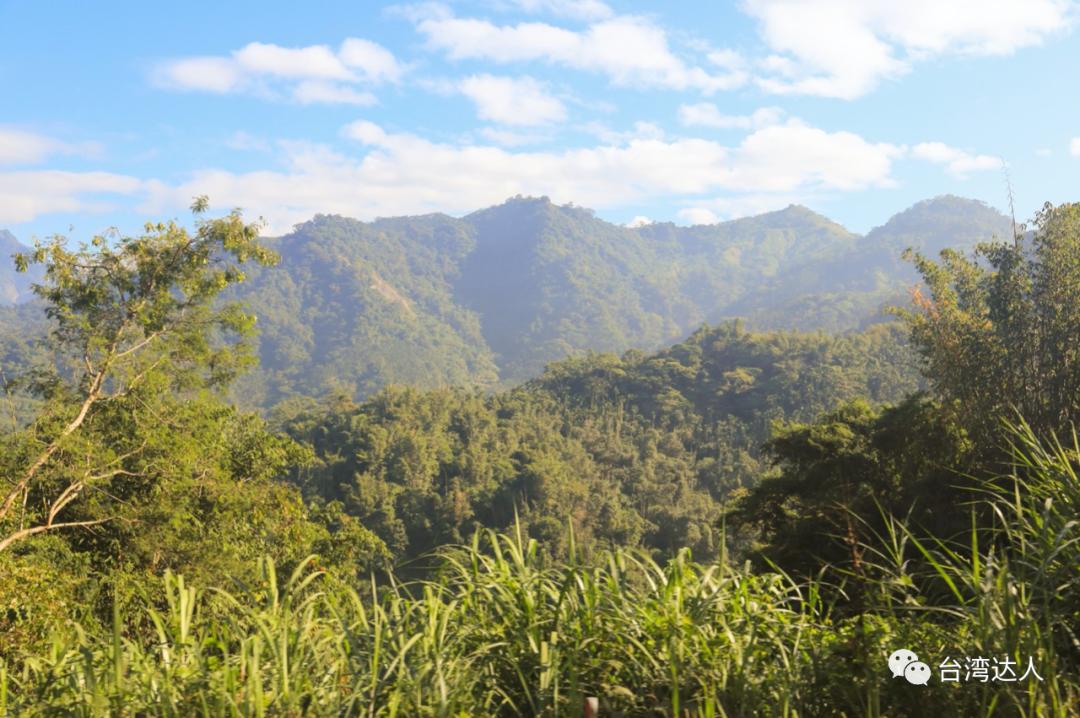 阿里山风景优美令人神往的好地方,阿里山有多美