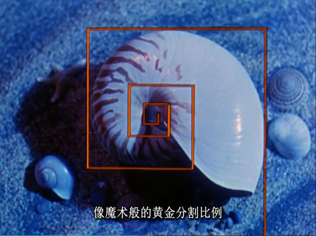 最近孩子都沉迷什么,孩子最近迷上抖音