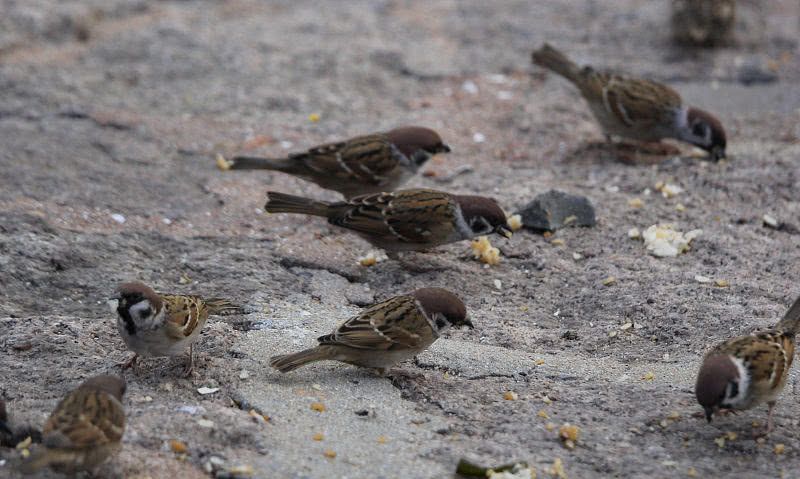 假如沙特石油枯竭,石油储量第一沙特不怕石油枯竭吗