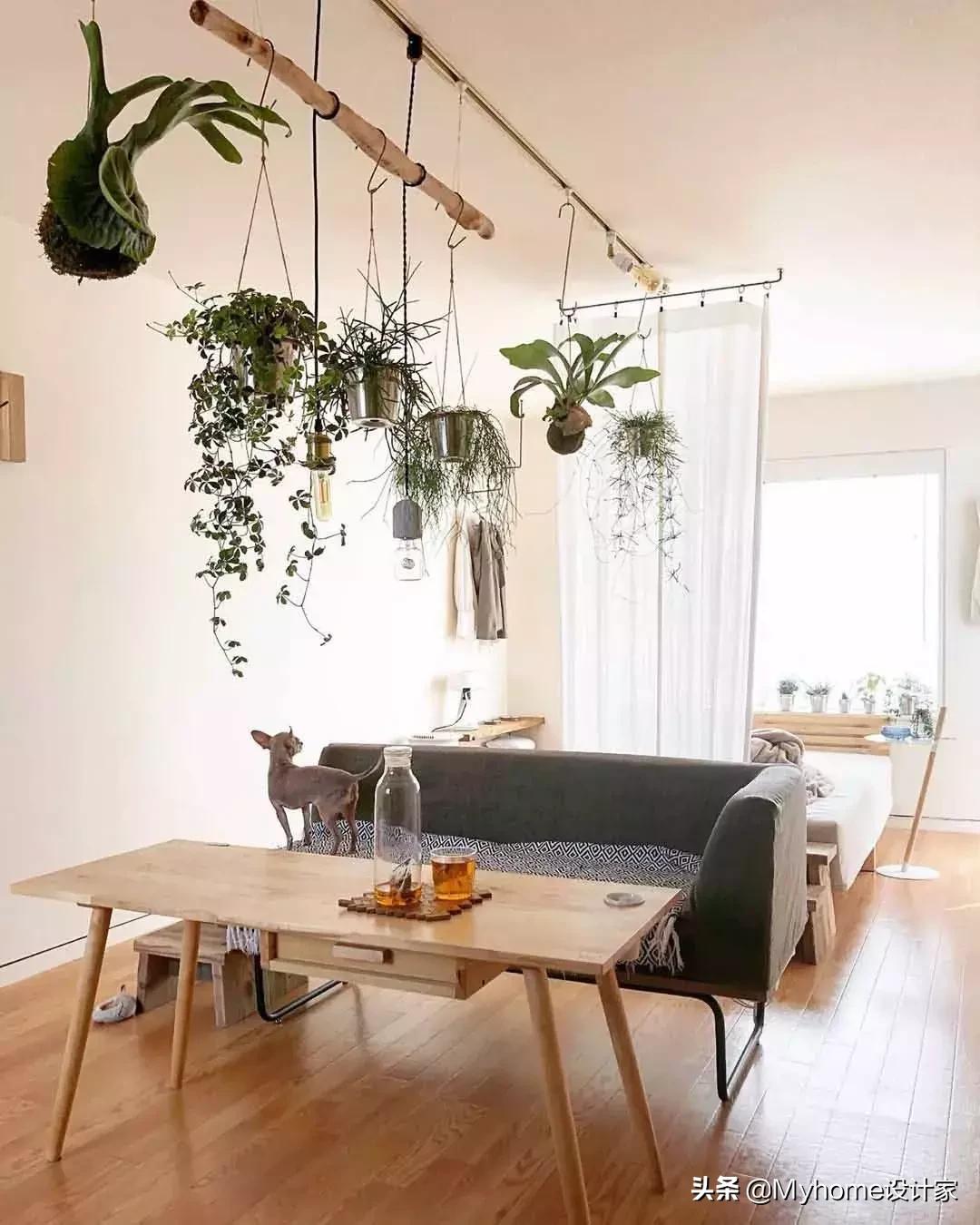 日本女生出租房单间布置,日本女孩出租房子